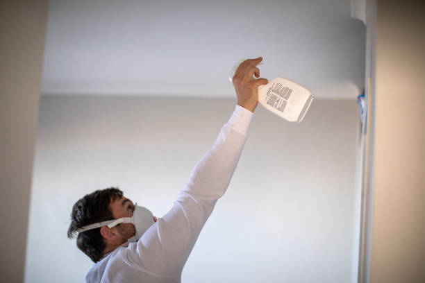 Best Mold Removal and Inspection  in Parker, TX